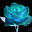 turquoiserose
