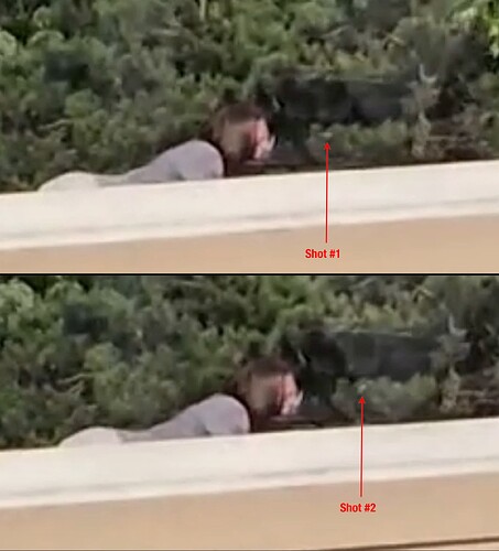 TMZ_Both_Shots_With_Graphic