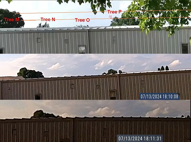 Collins TreesCompare2