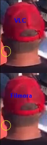 PatientFish01Fr17C-Det