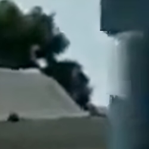 vlcsnap-2025-04-19 D