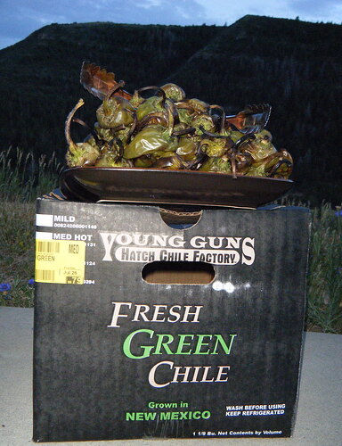 FreshNMChile