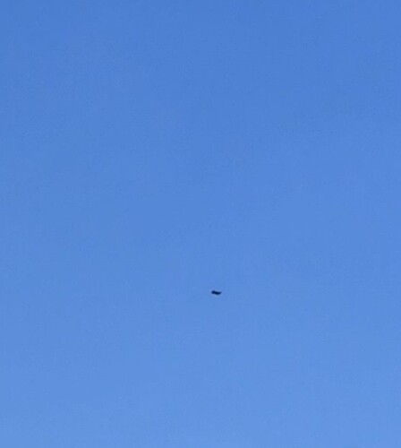 drone