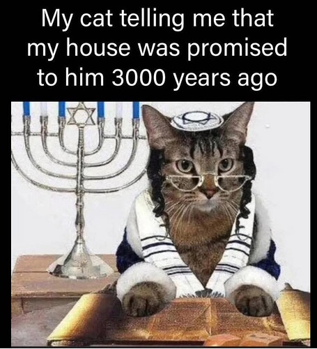 Screen Shot 2025-11-13 at 8.46.59 PM