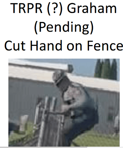 Trooper Graham