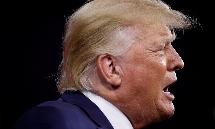 Trump Profile 2022