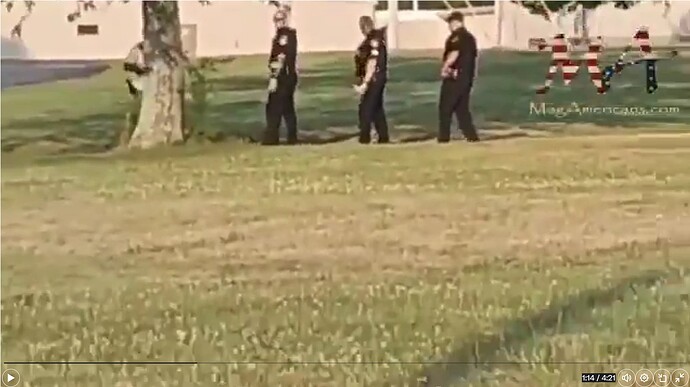 Screenshot 2024-12-20 151234