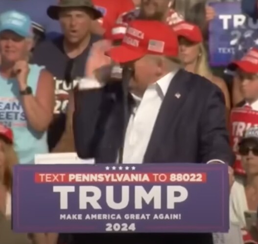 trump video screenshot 1