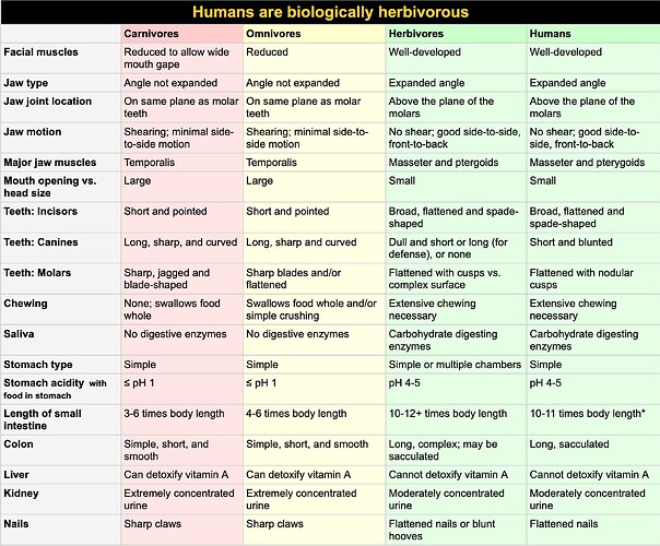 Humans are biologically herbivorous