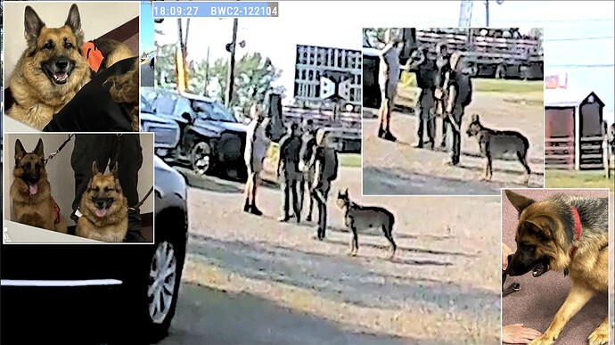 Screenshot 2025-01-12 032118