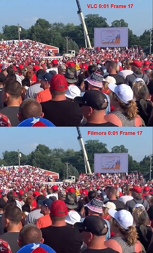 PatientFish01Fr17Compare