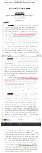 USSS Agent in charge location at Shooter Down Time Line