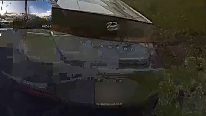 vlcsnap-2024-11-28