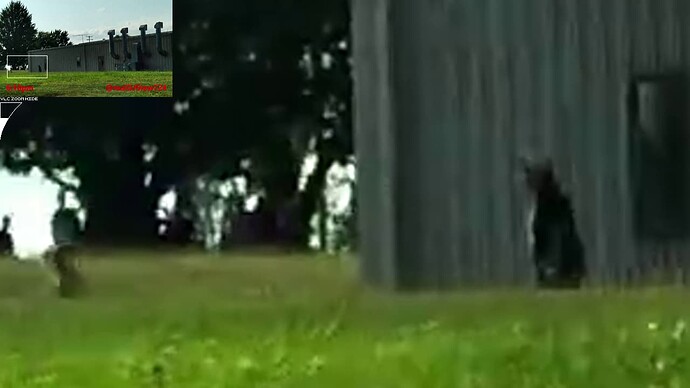 16 Vensel south-west 09 after shots