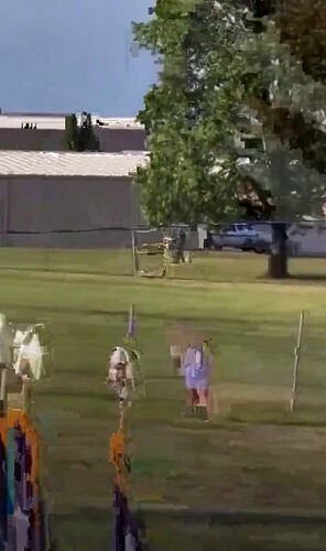 camera turned right3