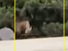 gif shot 1