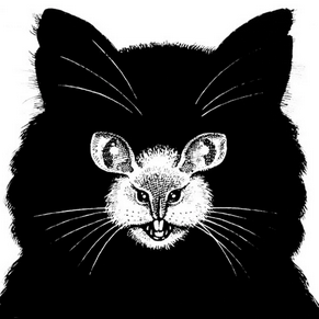 Can you see the mouse?