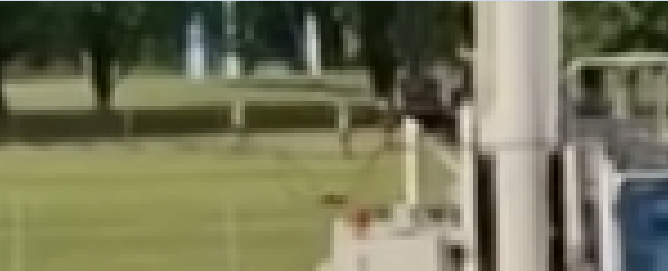 where are they runnung