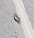 thing_on_roof_2