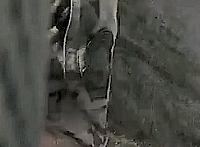 Screenshot 2024-11-03 123053