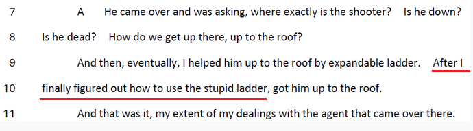 stupid ladder