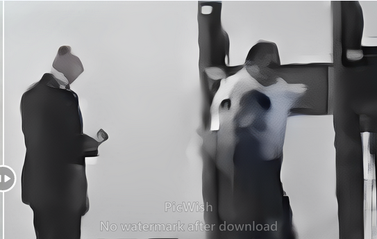 image3b