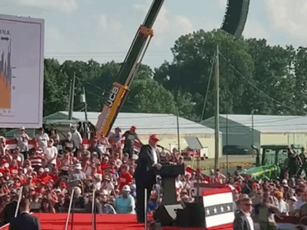 ezgif.com-animated-gif-maker D1